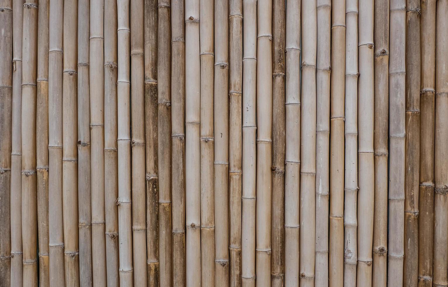 gray bamboo fence background photo