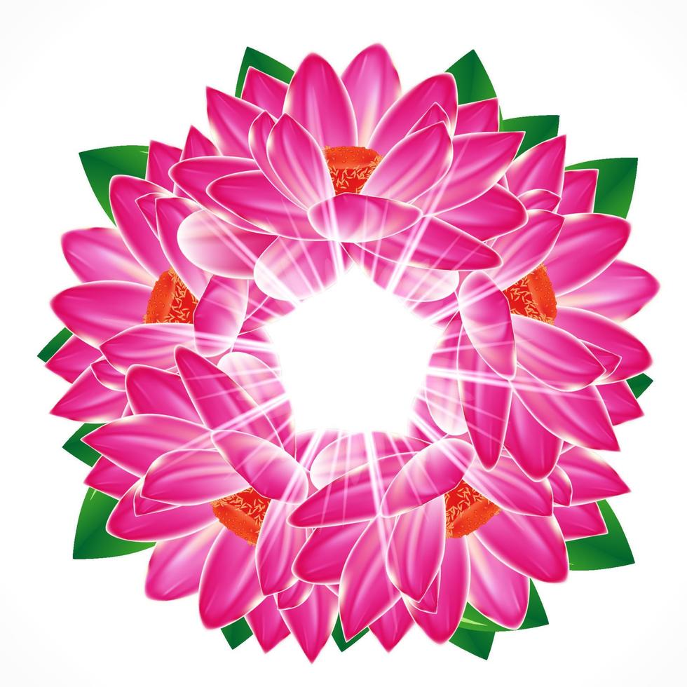 Water lily flower background. vector