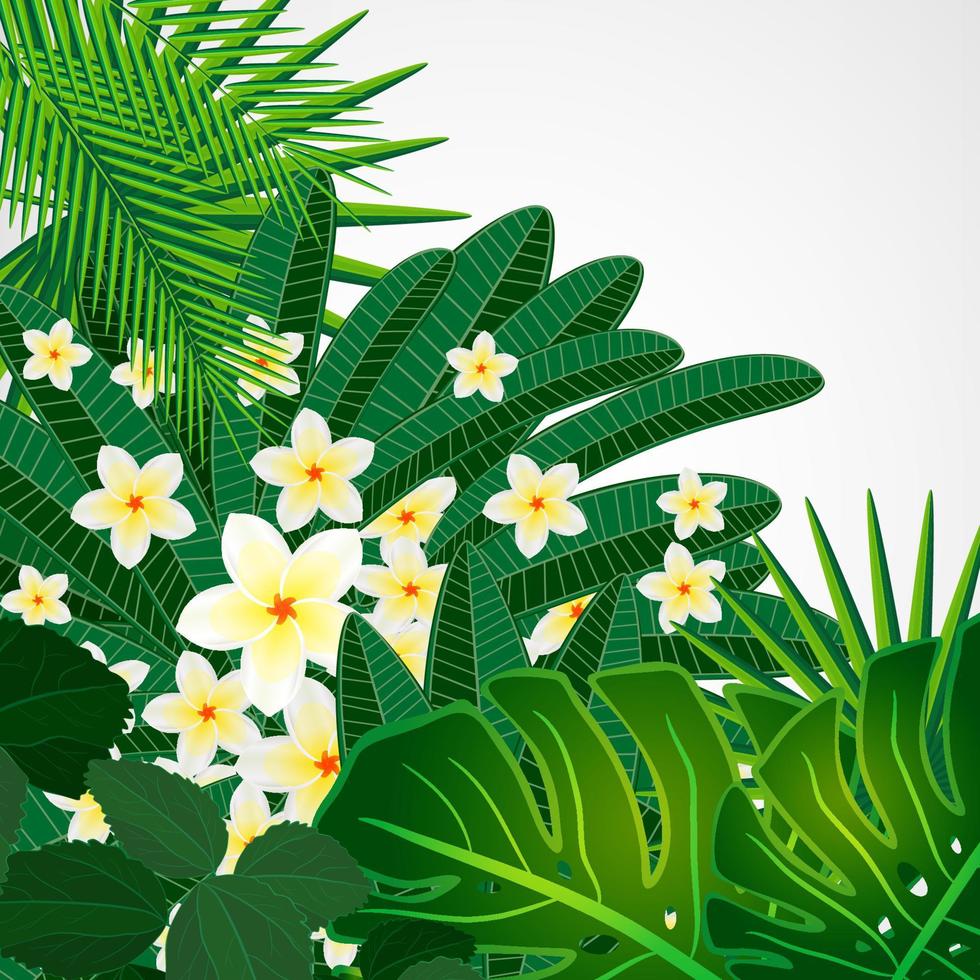 Eps10 Floral design background. Plumeria flowers and tropical leaves. vector