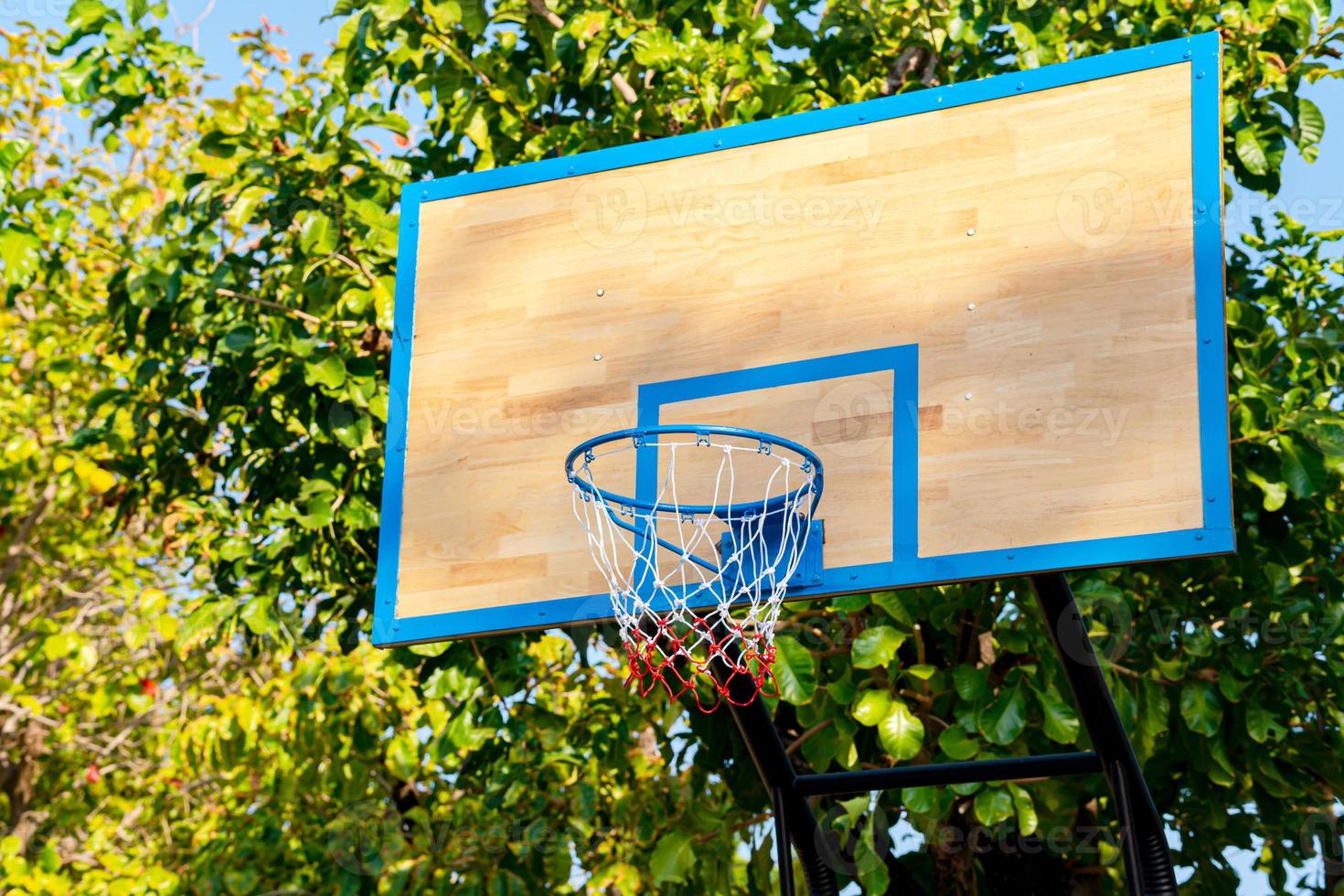 A Basketball Hoop by Trees photo