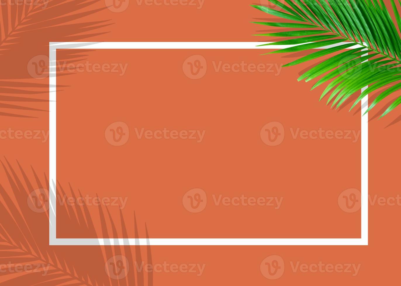 Tropical green monstera leaves nature on orange background with frame design photo