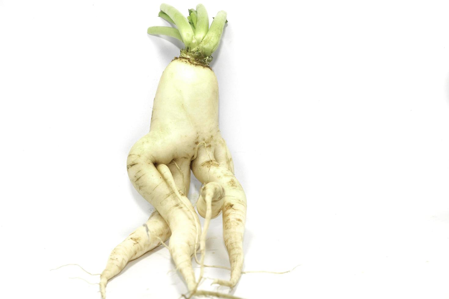 Organically grown radishes that are grown for eating and for sale - in a farmer's garden on a white background as a healthy and vegan diet, taken in my home studio. photo