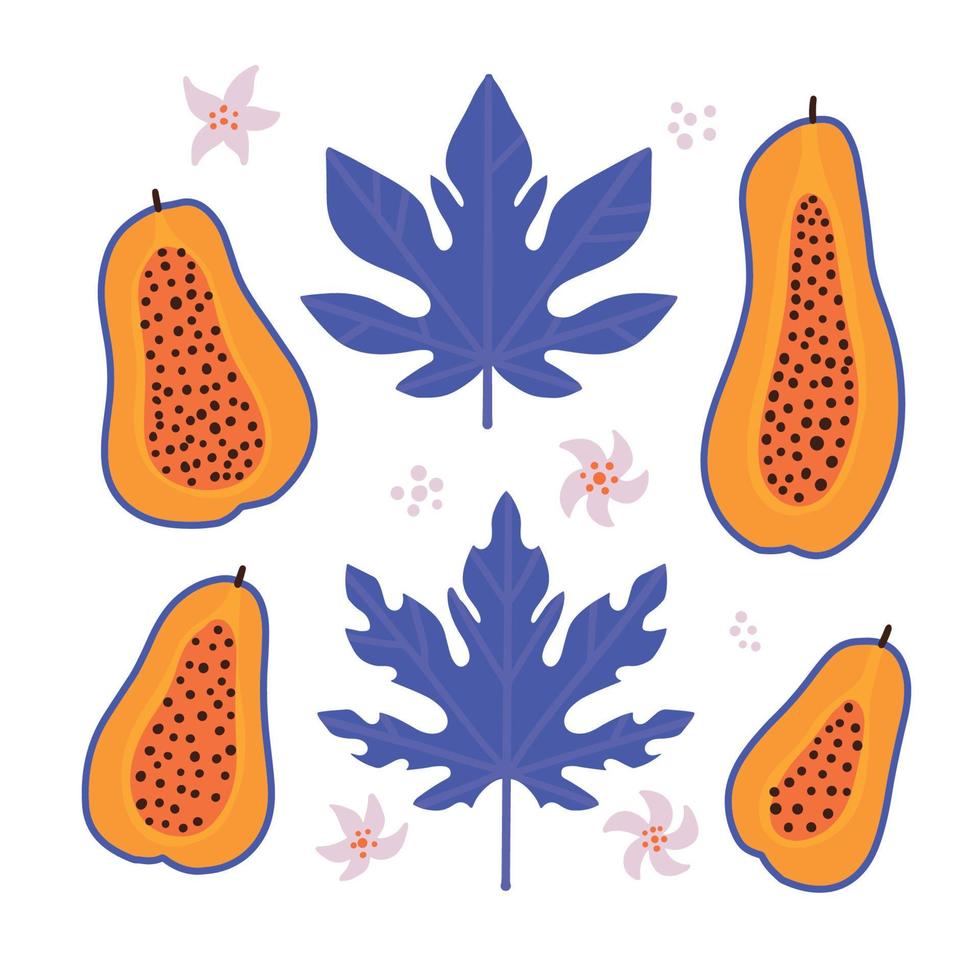 Abstract papaya set. Half of juicy tropical fruit, leaves, flowers. Vector Hand drawn isolated illustration,