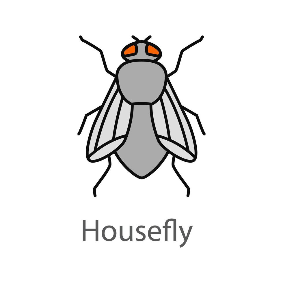 Housefly color icon. Musca domestica. Fly insect. Isolated vector illustration