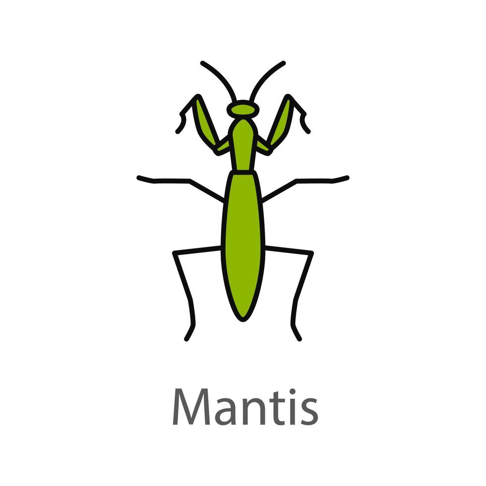 Praying mantis color icon. Mantodea. Insect. Isolated vector illustration