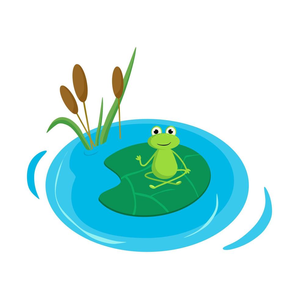 A frog meditates on a water lily. Vector illustration in cartoon style