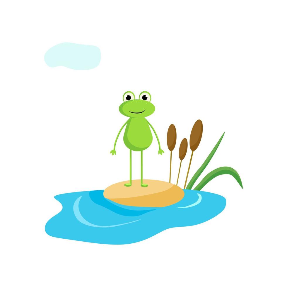 A frog stands on the sand. Vector illustration in cartoon style