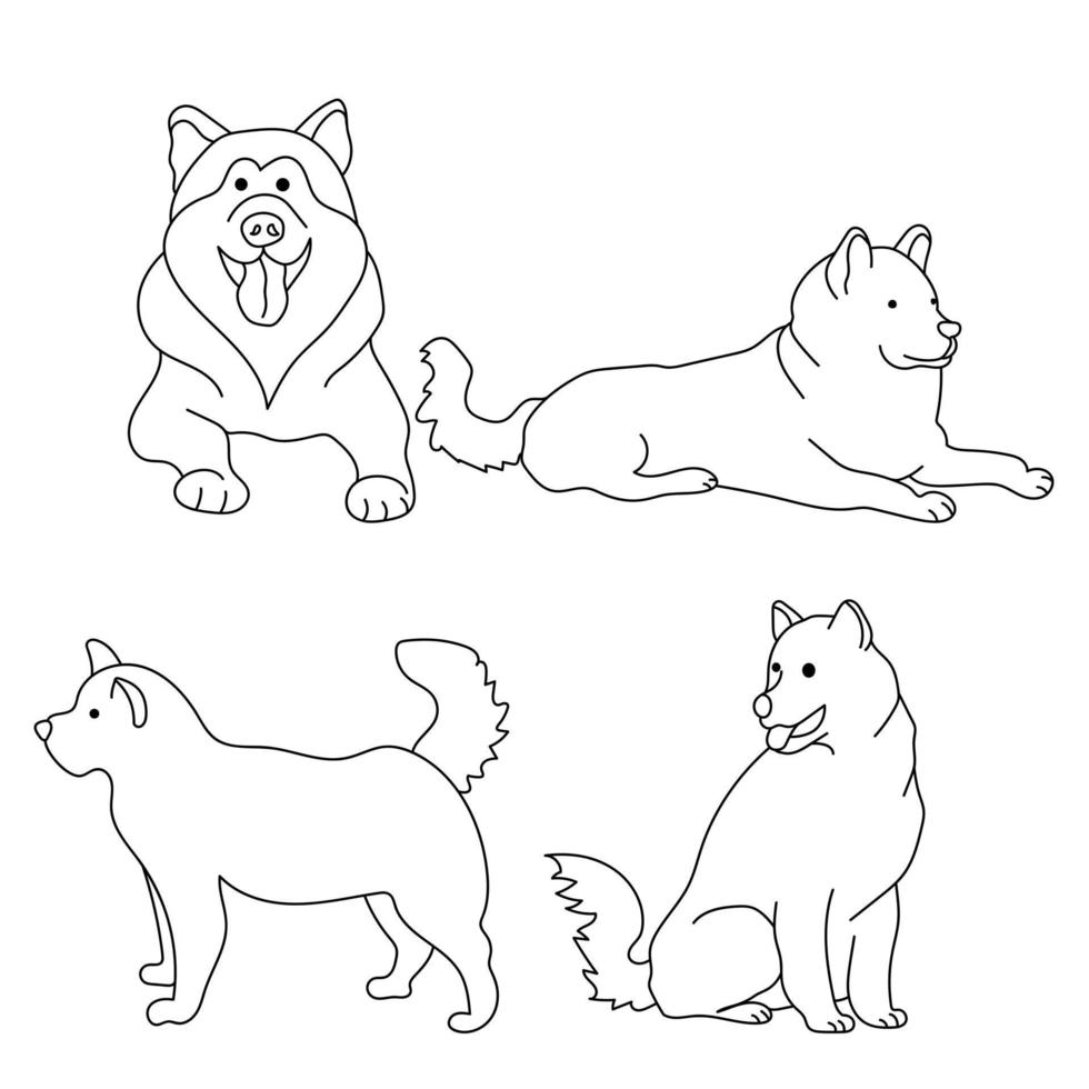 Dog breed Alaskan Malamute, Set of outline contours of dogs in various poses vector