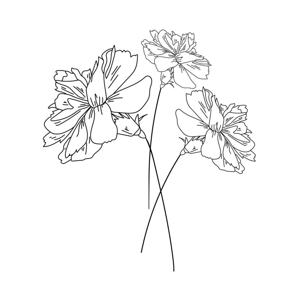 conjunto de tres flores de clavel, arte botánico vegetal, ilustración vectorial de contorno vector