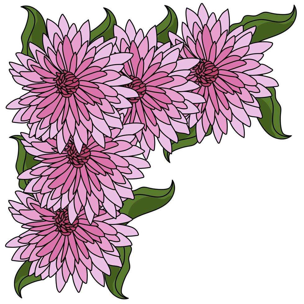 un rincón decorativo de exuberantes flores rosas y pequeñas hojas verdes, un borde de crisantemo para decorar invitaciones, tarjetas, etc. vector