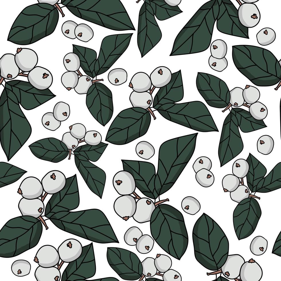 Snowberry twigs seamless pattern with green leaves and gray berries, decorative plant with beautiful fruits, winter fruit vector