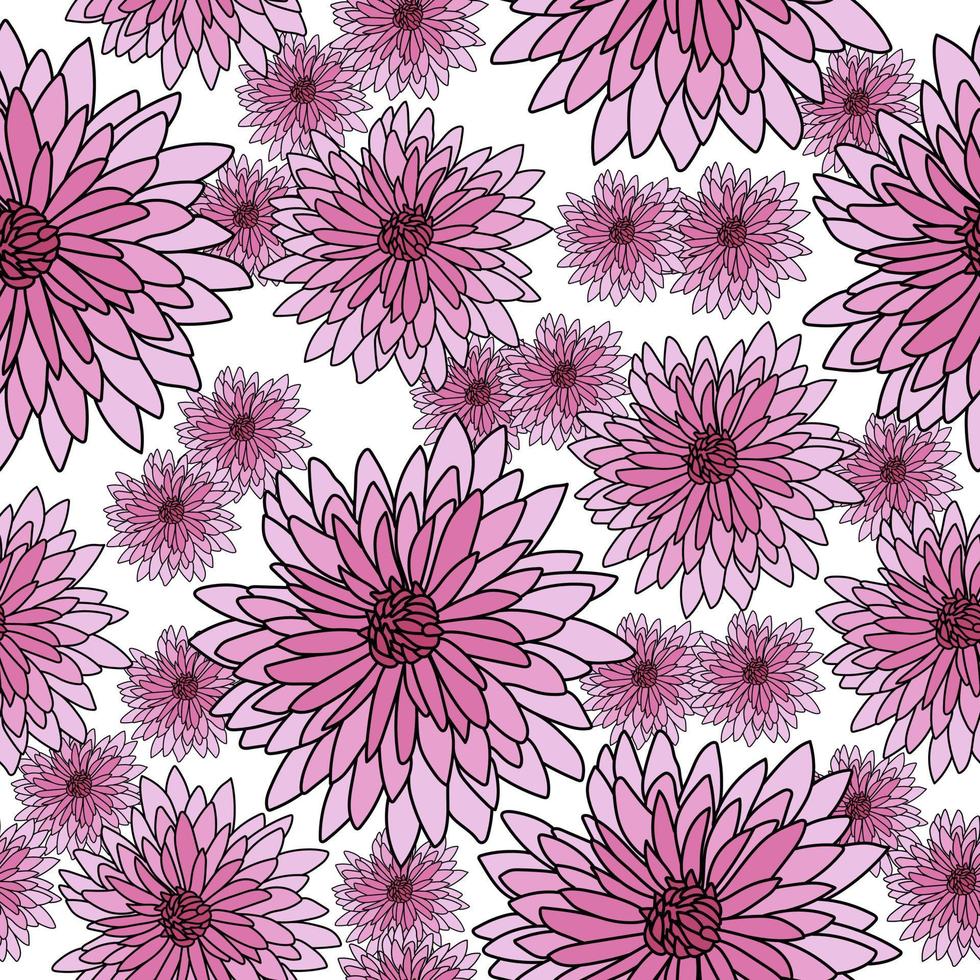 patrón impecable de crisantemos rosados sobre un fondo blanco, florecimiento brillante con muchos pétalos pequeños dispuestos al azar vector