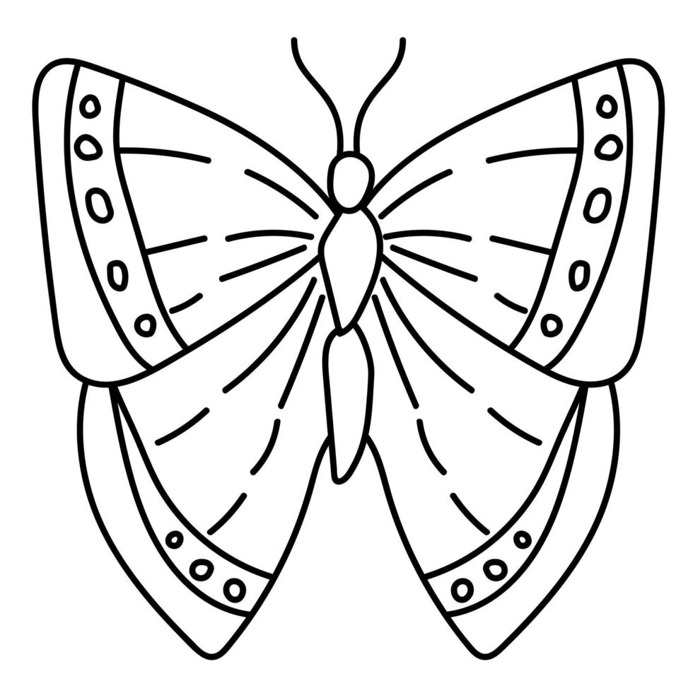 esquema de fantasía de mariposas, página de coloreado de garabatos para niños pequeños mundo de insectos vector