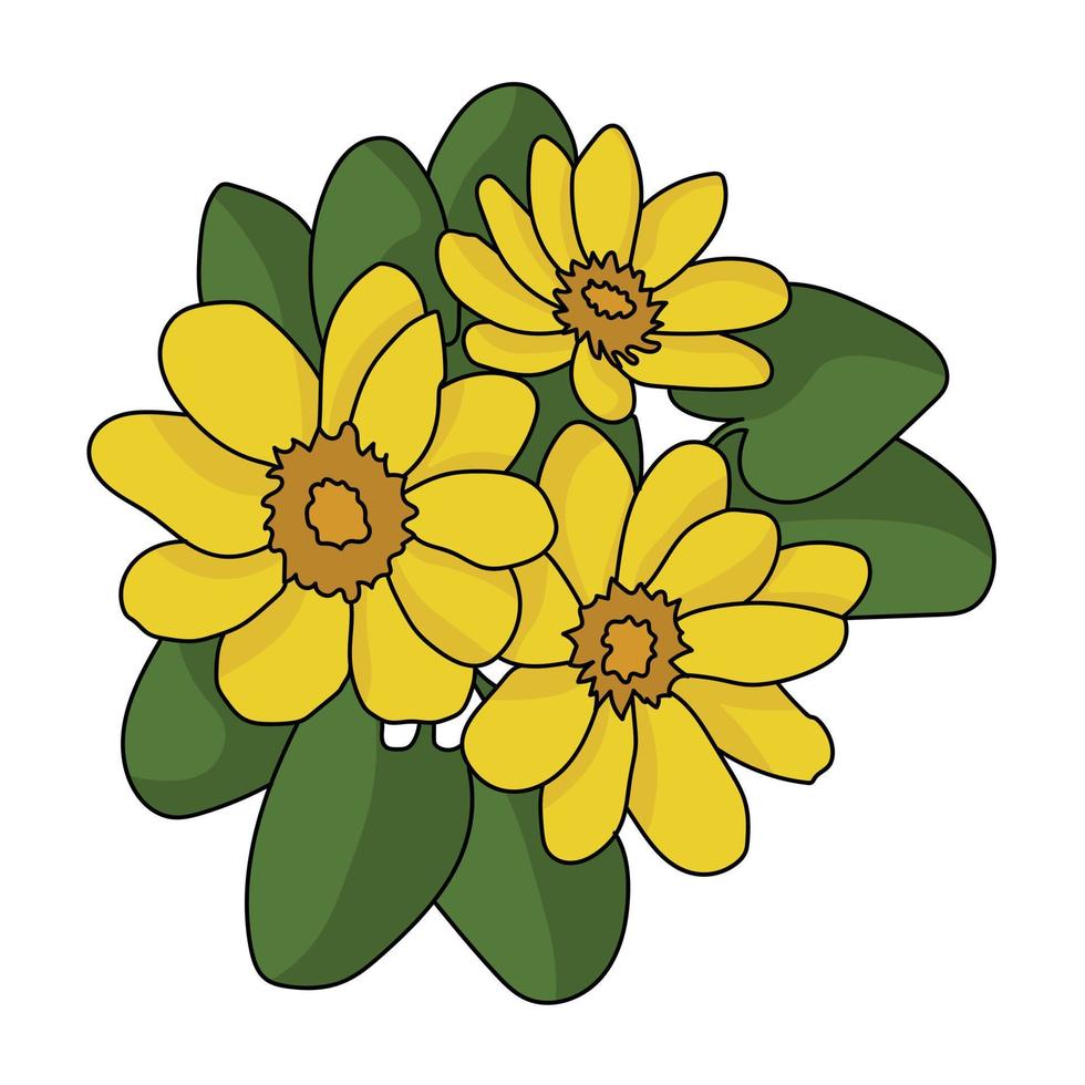 Caltha bunch of yellow flowers with green leaves, marsh or ornamental plants for design vector