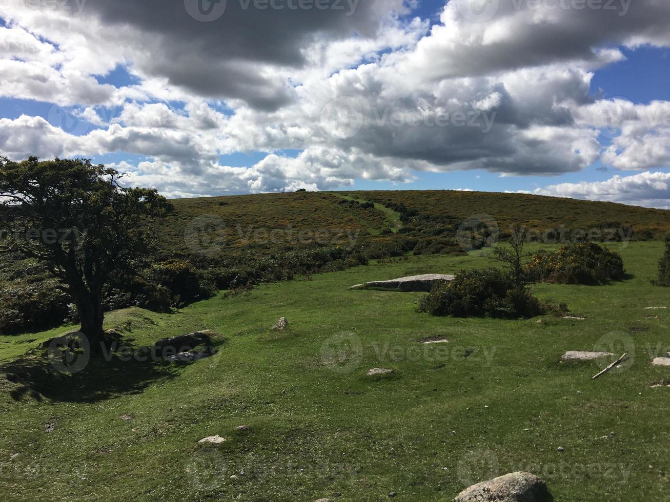 A view of Dartmoor National park in Devon from the summit photo