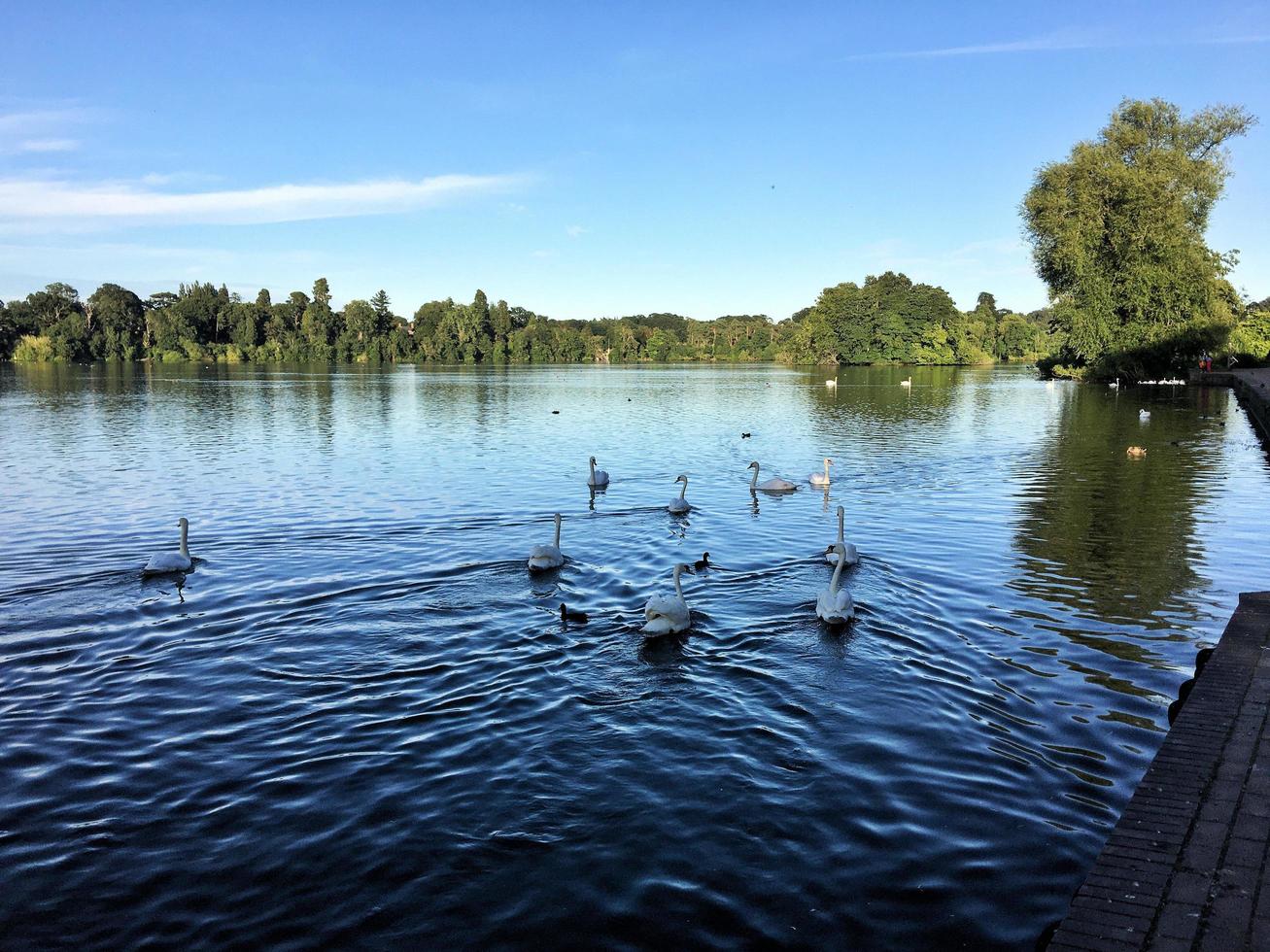 A view of Ellesmere Lake in the evening sun photo