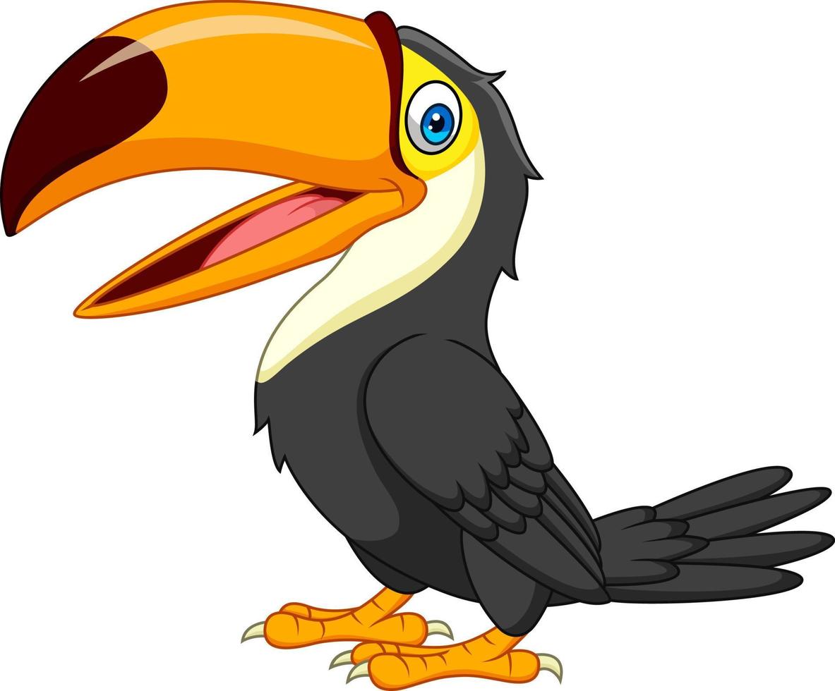 Cartoon toucan isolated on white background vector