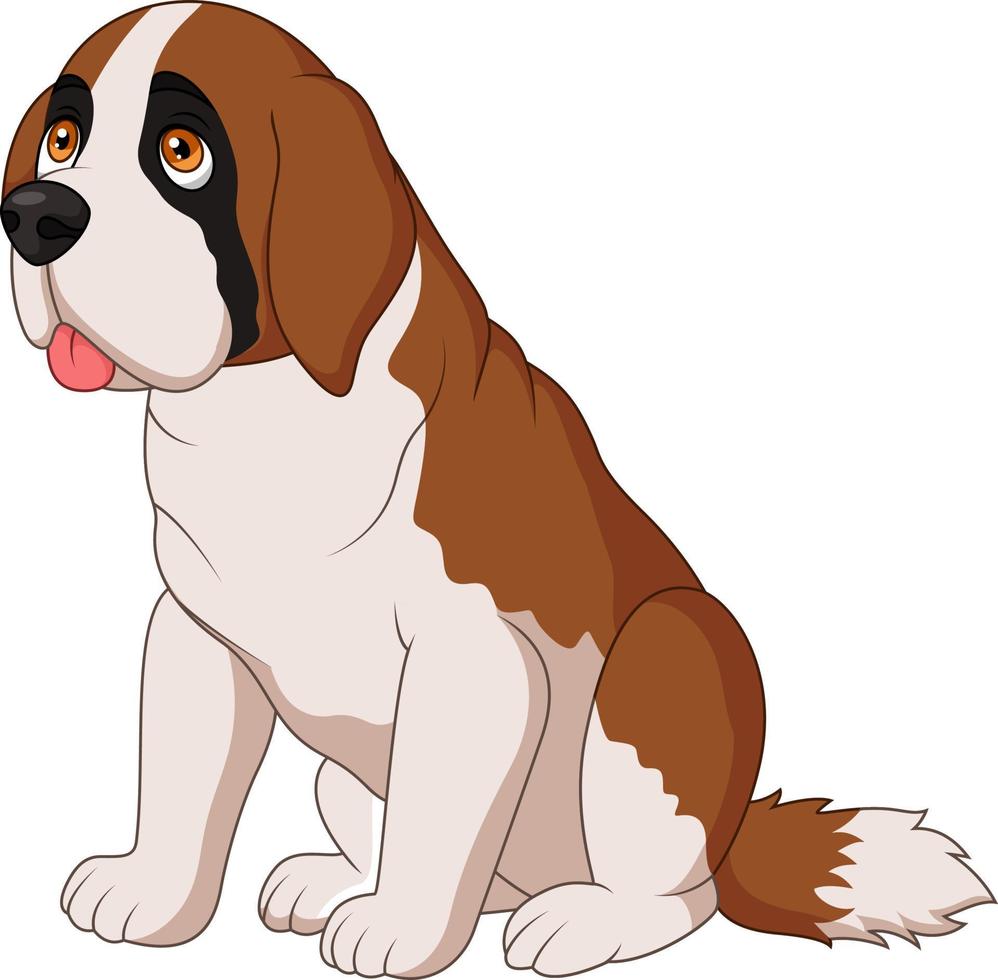 Saint Bernard dog breed vector