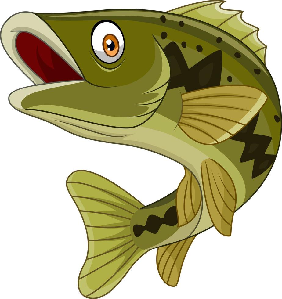 Cartoon bass fish isolated on white background vector