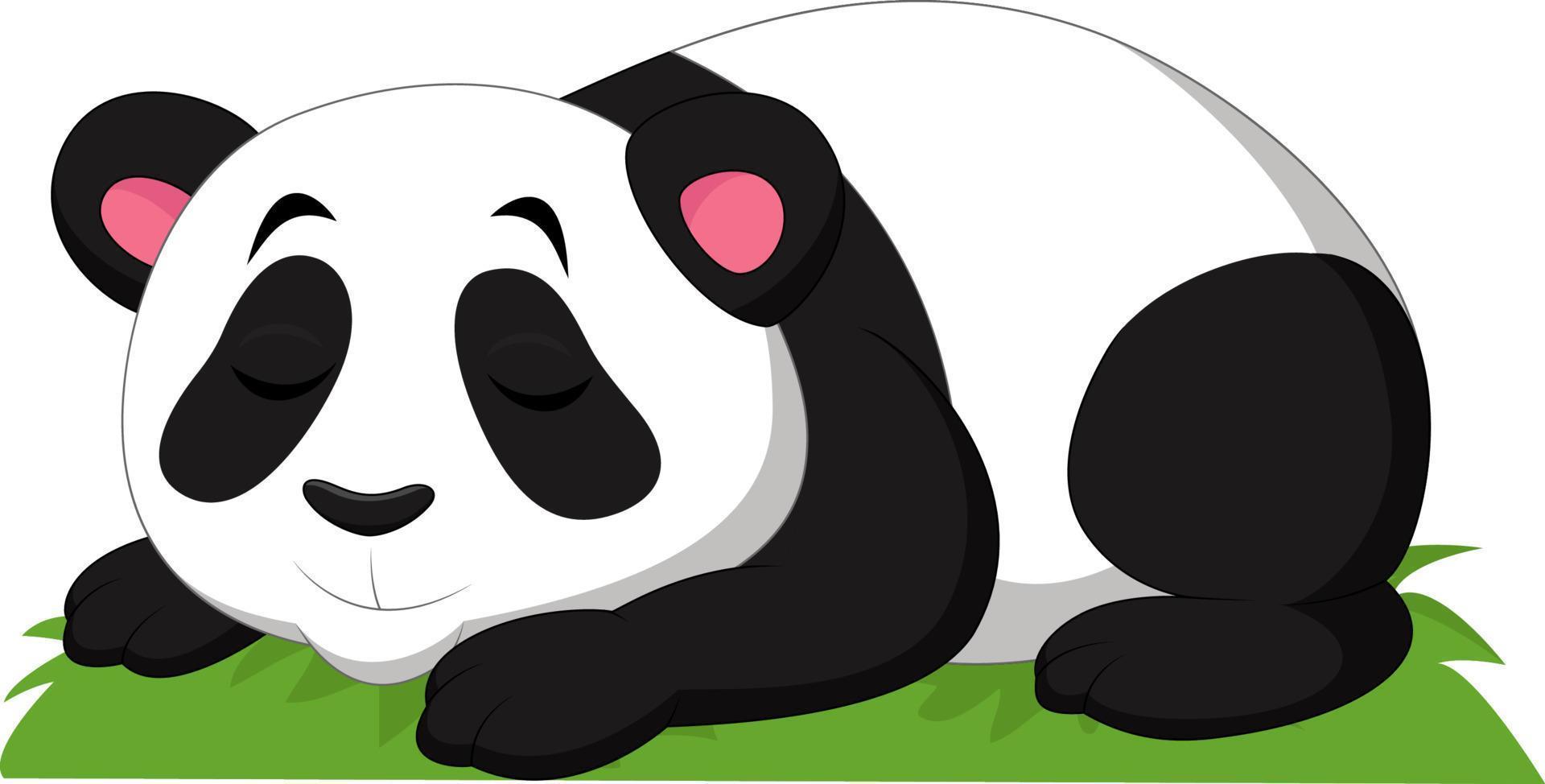 Cartoon panda sleeping isolated on white background vector