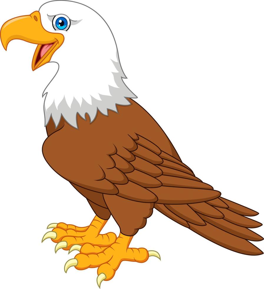 Cartoon bald eagle vector