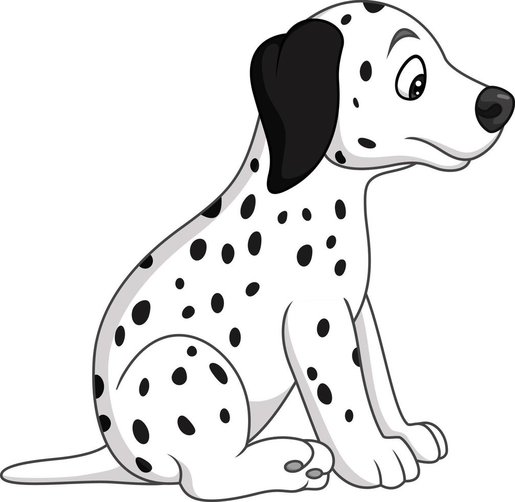 Baby dalmatian dog breed vector