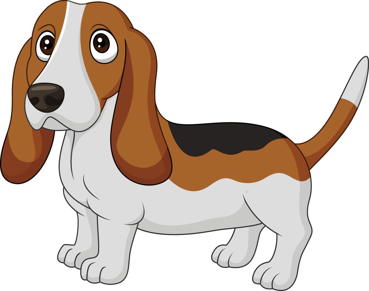 Cartoon dog Basset Hound isolated on white background vector