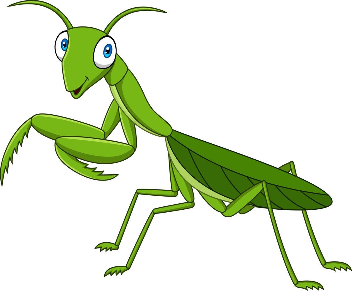 mantis verde de dibujos animados vector