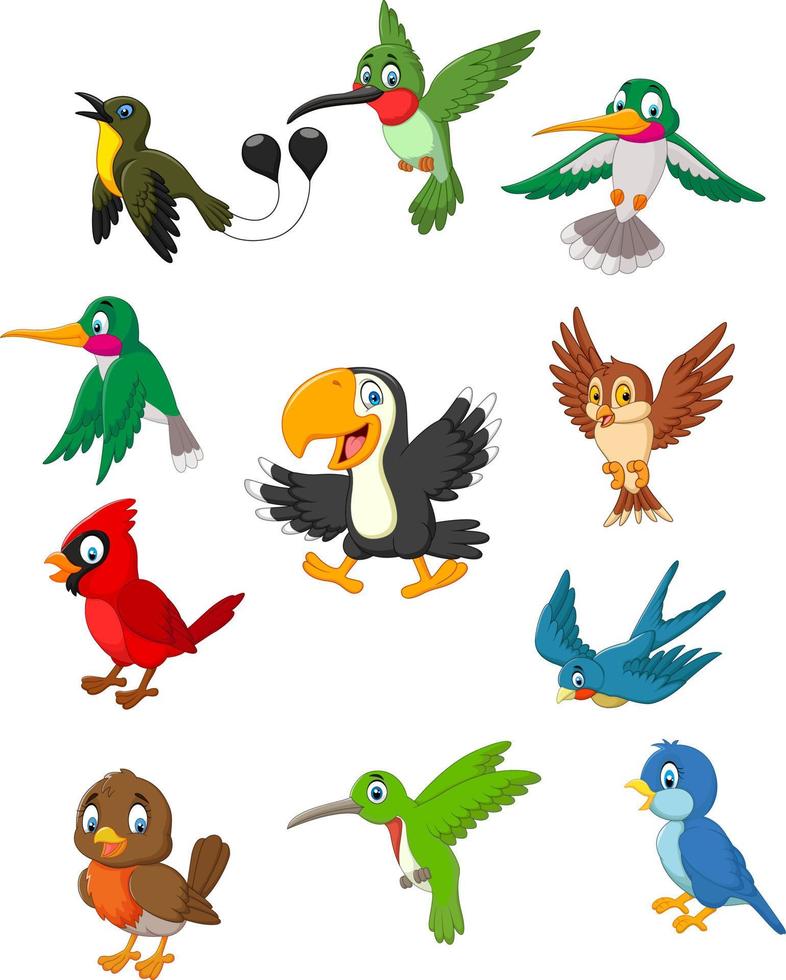 Cartoon birds collection set vector