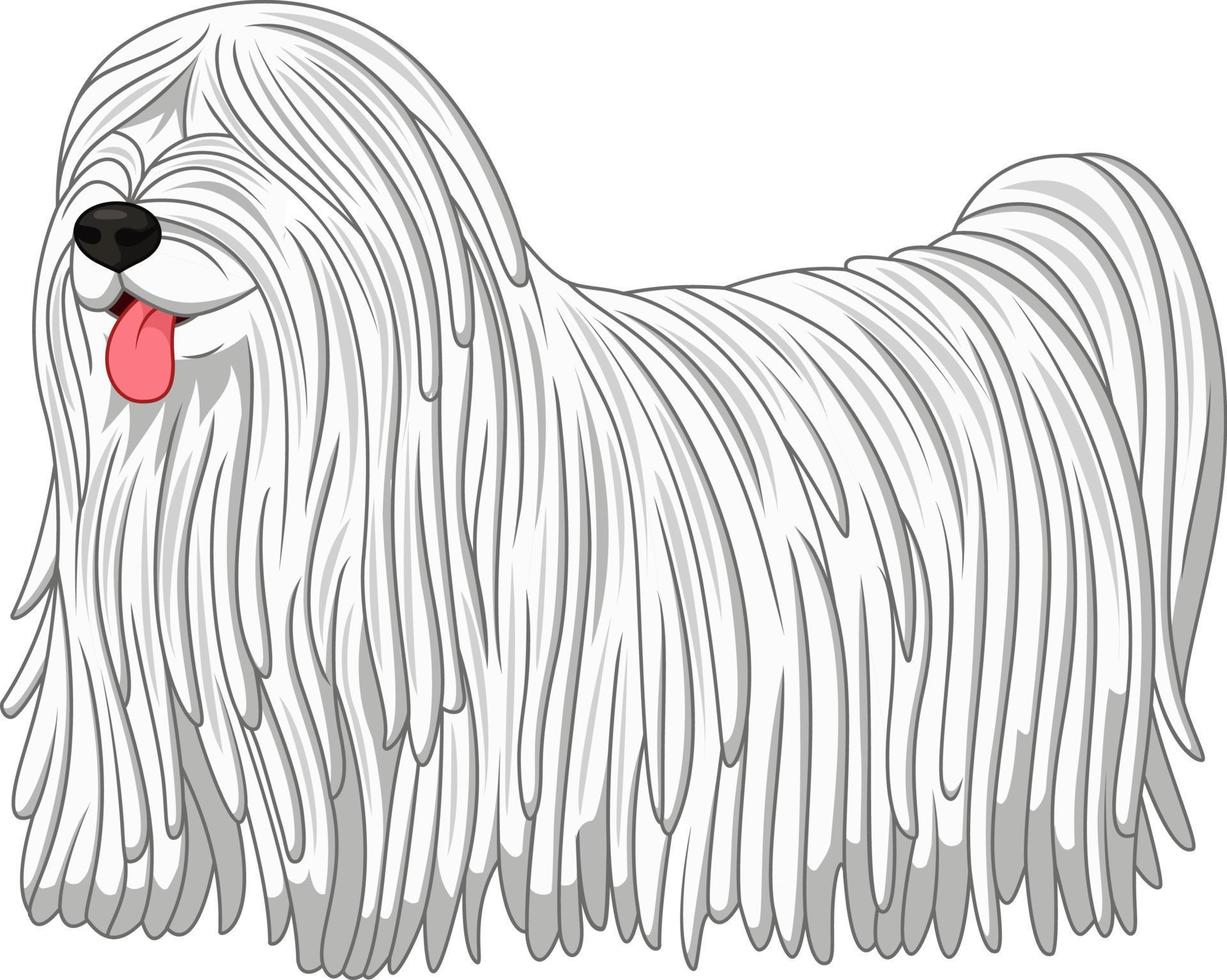 raza de perro komondor vector