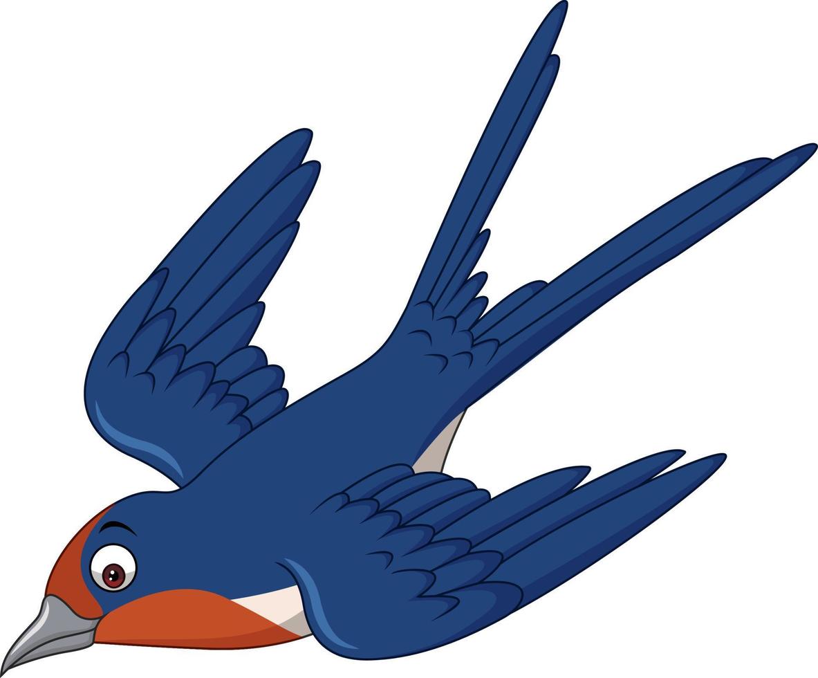 Cartoon swallow bird flying vector