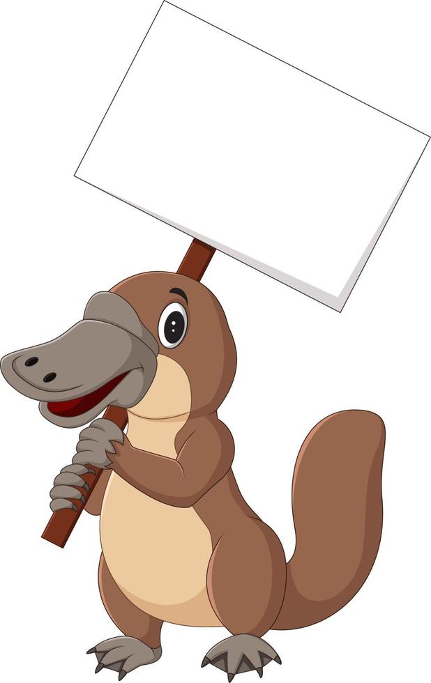Cartoon platypus holding blank sign vector