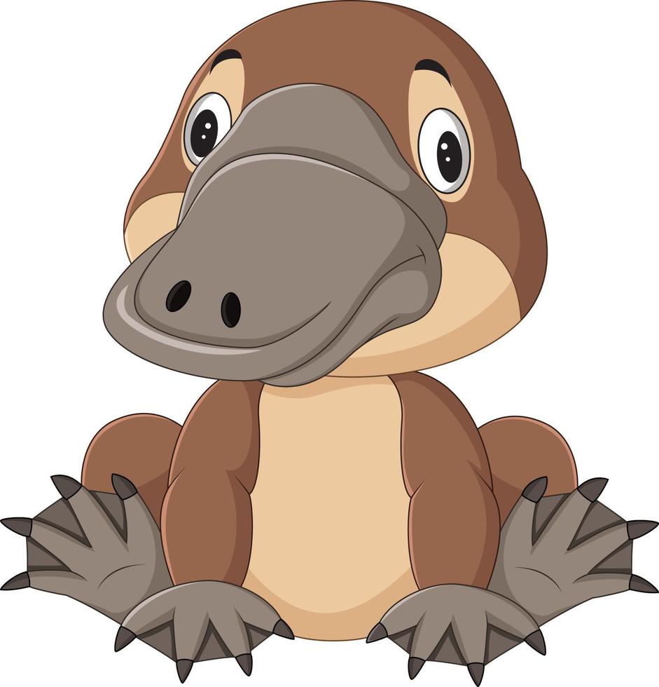 Cartoon funny platypus isolated on white background vector