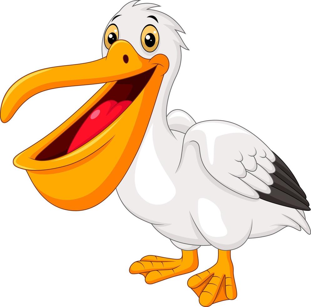 Cartoon pelican isolated on white background vector
