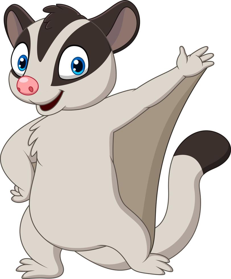 Cartoon sugar glider posing vector