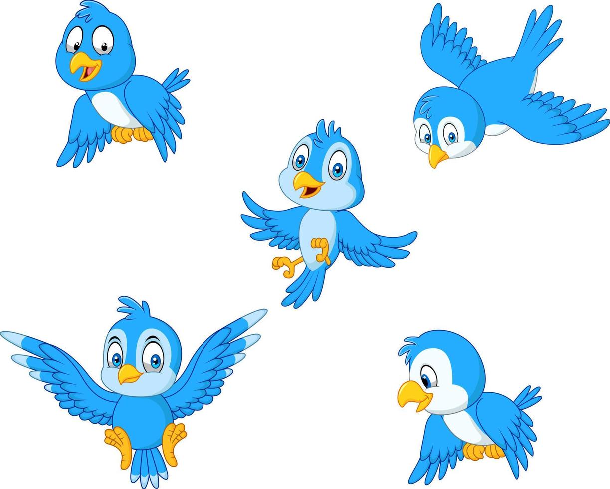 conjunto de colección de pájaro azul de dibujos animados 8733838 Vector en Vecteezy conjunto de colección de pájaro azul de dibujos animados 8733838 Vector en Vecteezy