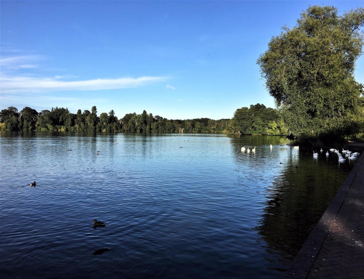 A view of Ellesmere Lake in the evening sun photo