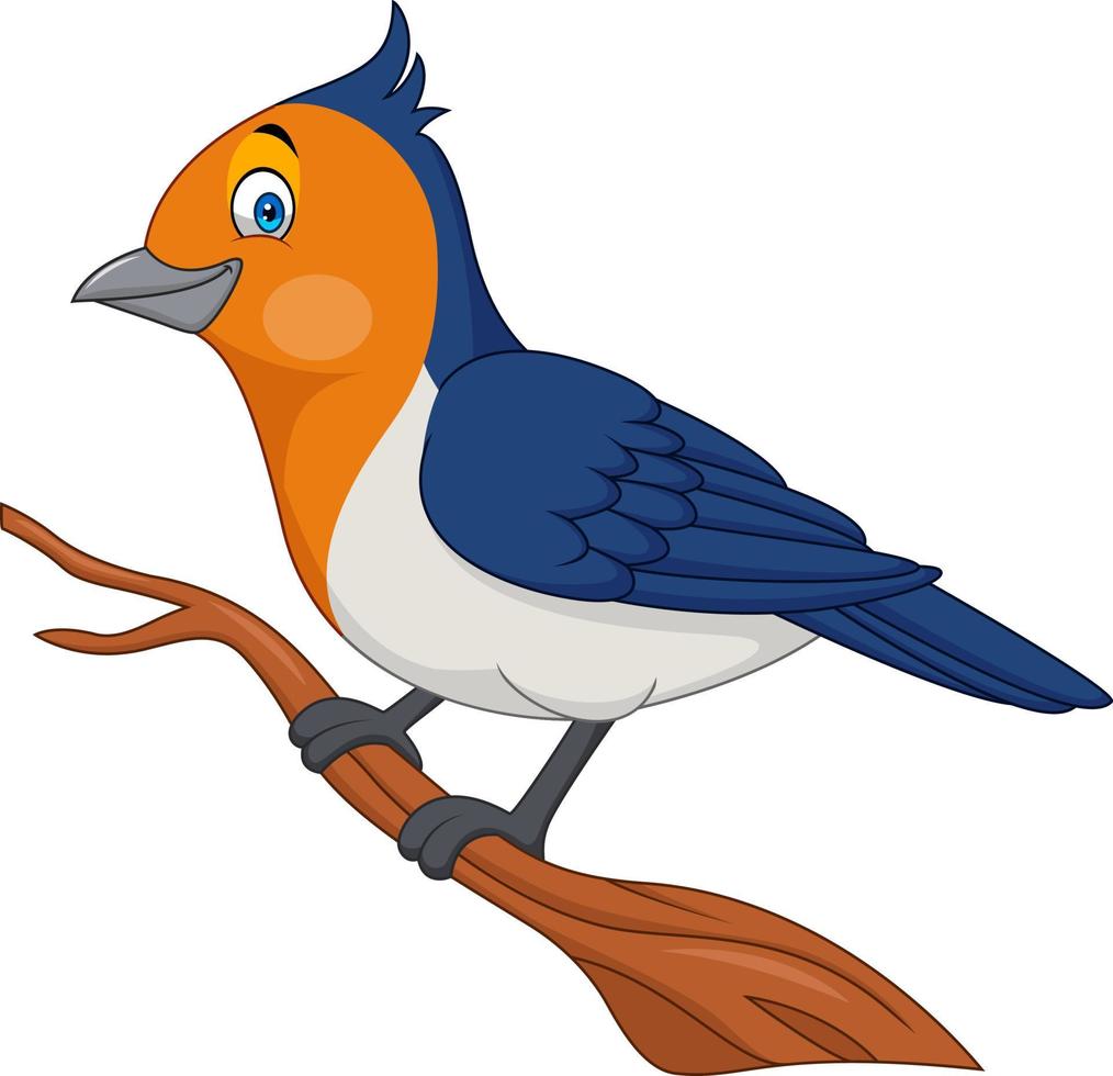 Cartoon bird on a tree branch vector