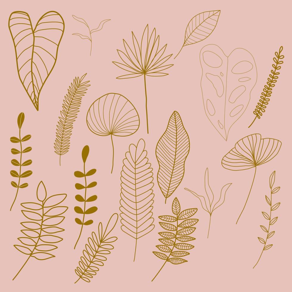 Outlined Aesthetic Leaf vector