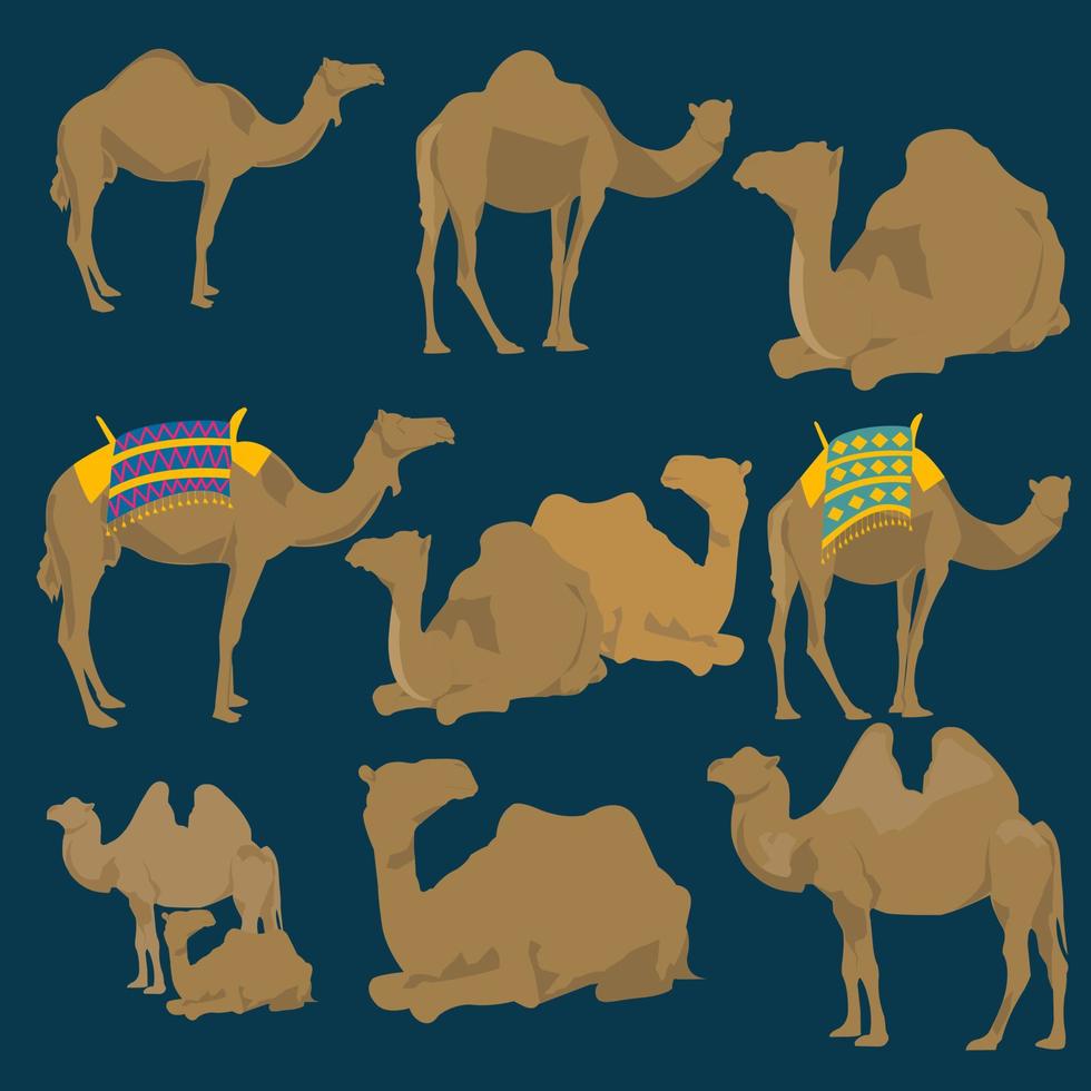 Faceless flat Camel vector