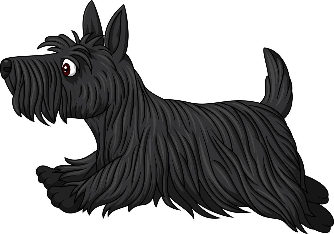 Scottish terrier dog breed running vector