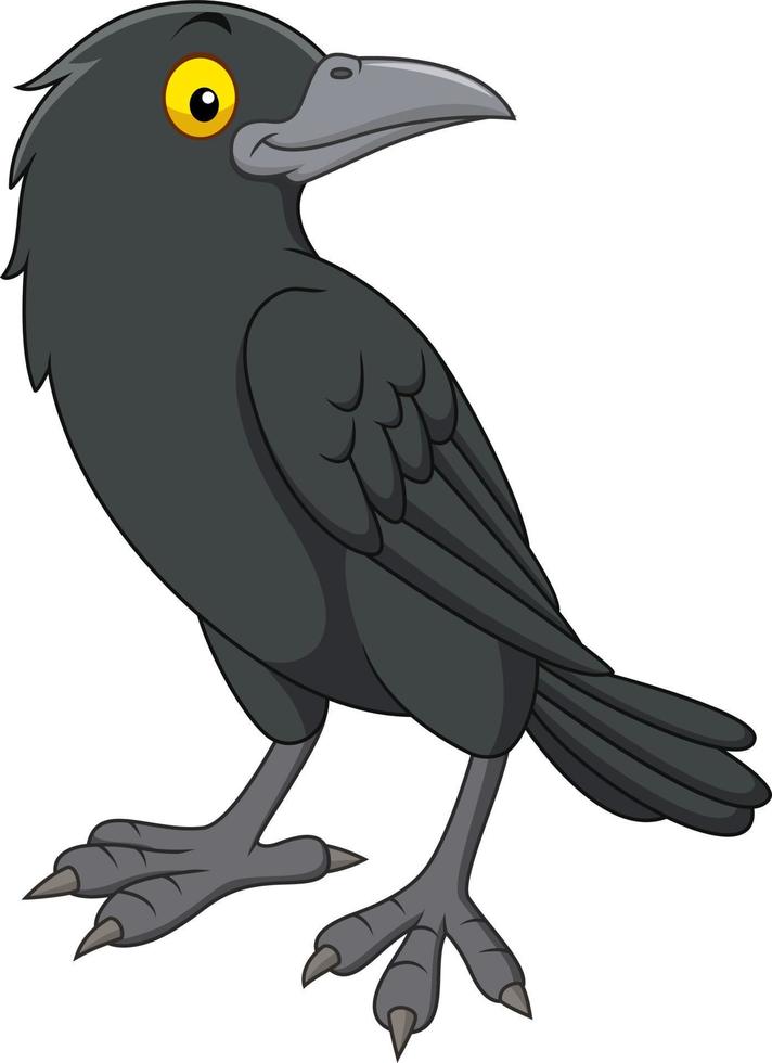 Cartoon crow isolated on white background vector