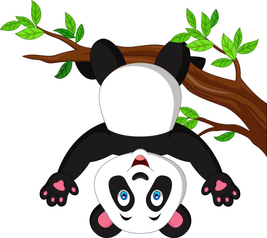 Cartoon panda hanging on tree branch vector
