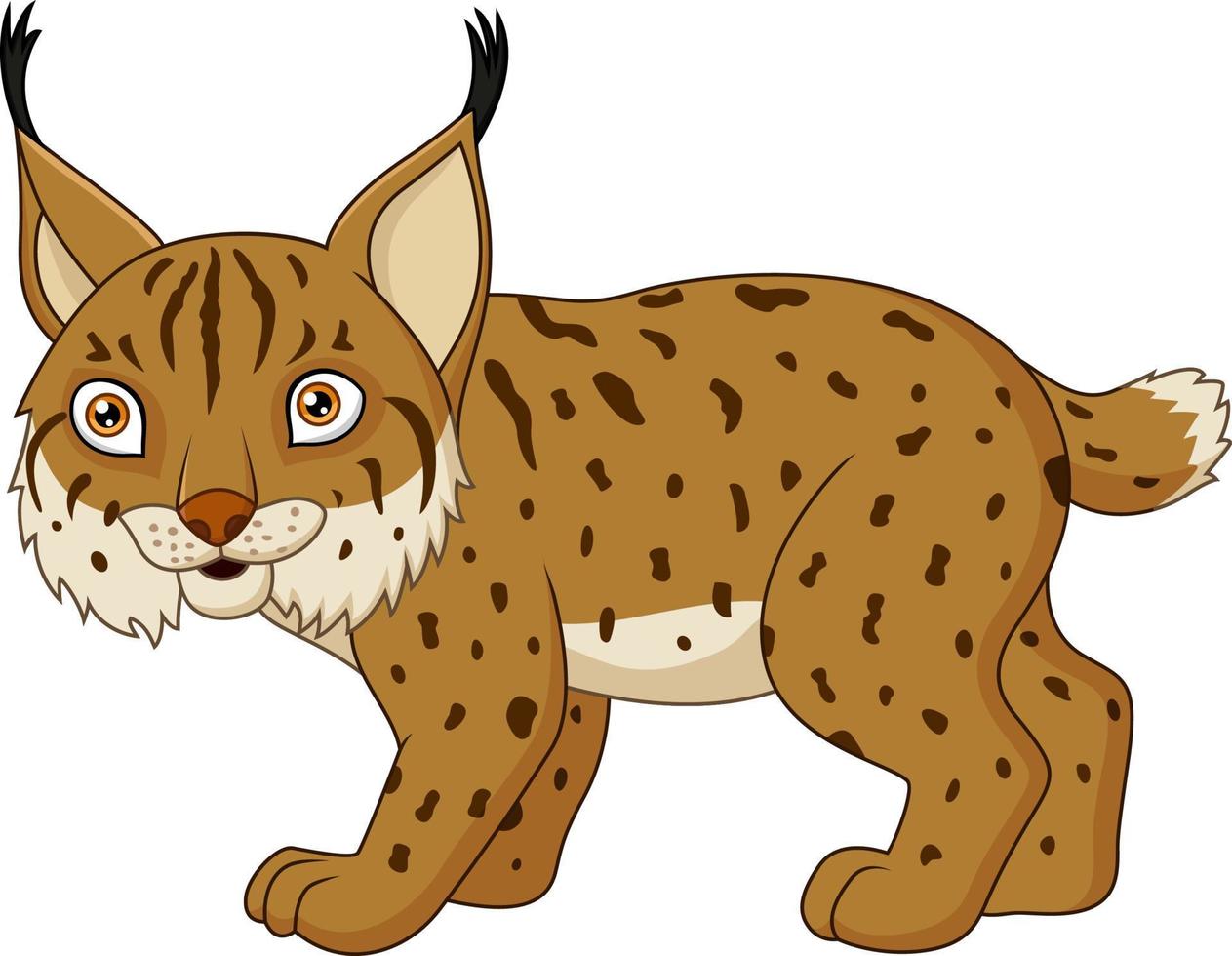 lince de dibujos animados aislado en un fondo blanco vector