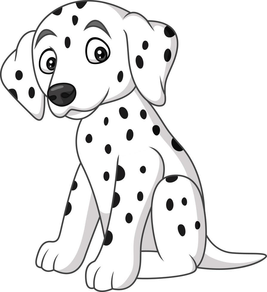 Baby dalmatian dog breed vector