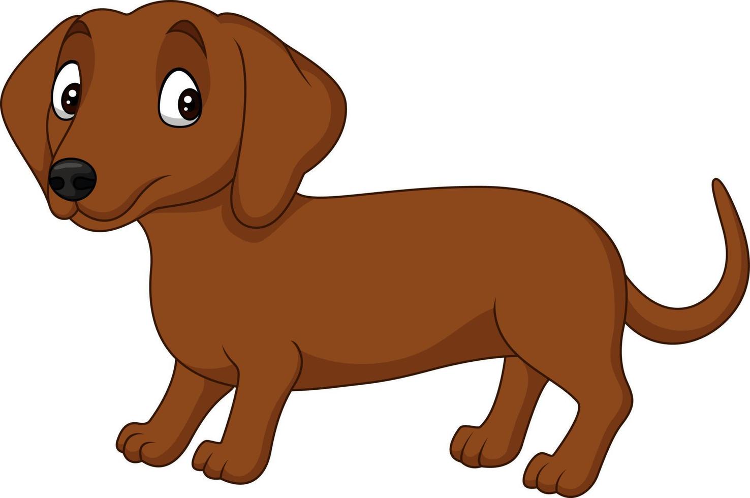 Cartoon dachshund dog isolated on white background vector
