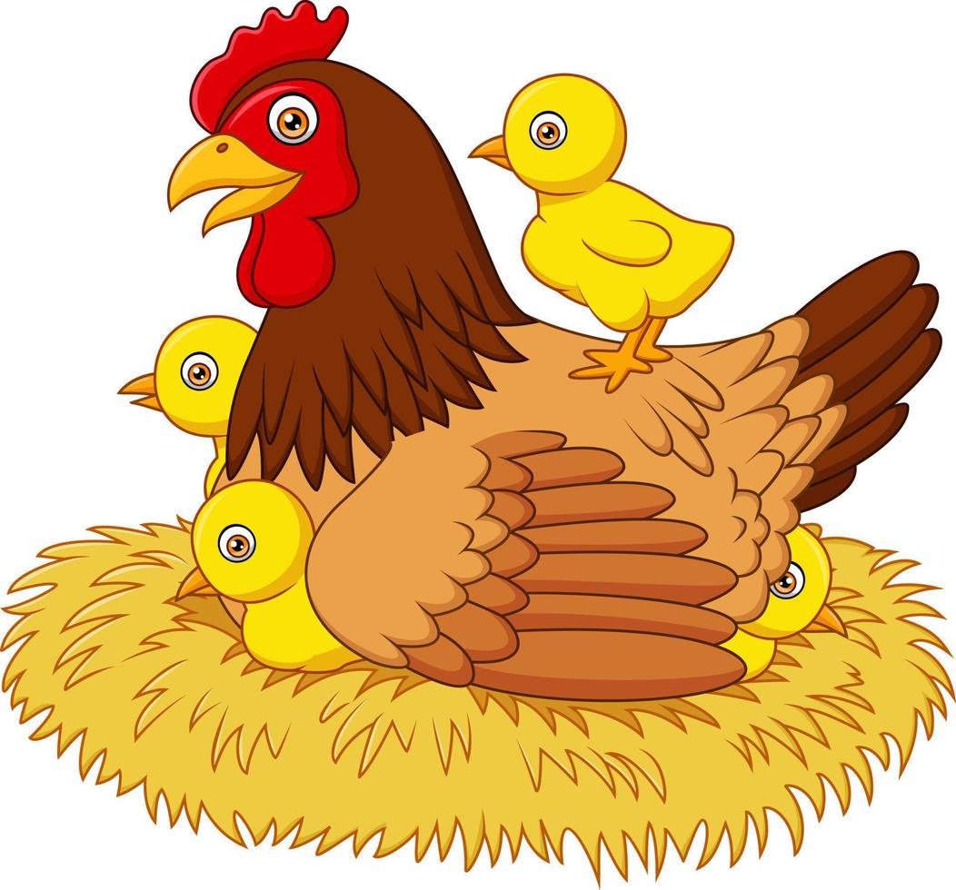Cartoon hen with her baby chicks vector