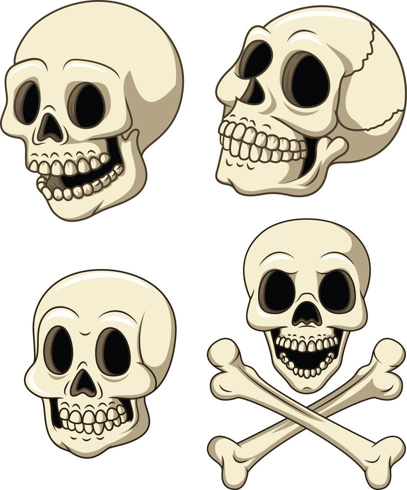Human skull collection set isolated on white background vector