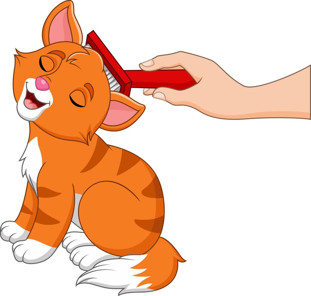 Cartoon hand brushing cat with a comb vector