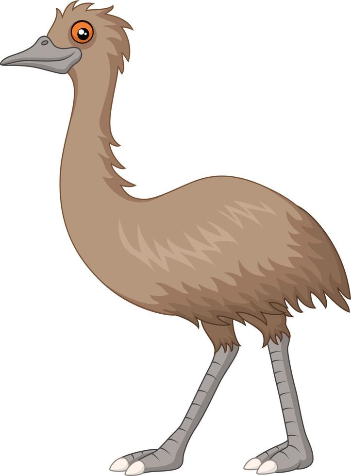 cartoon emu isolated on white background vector